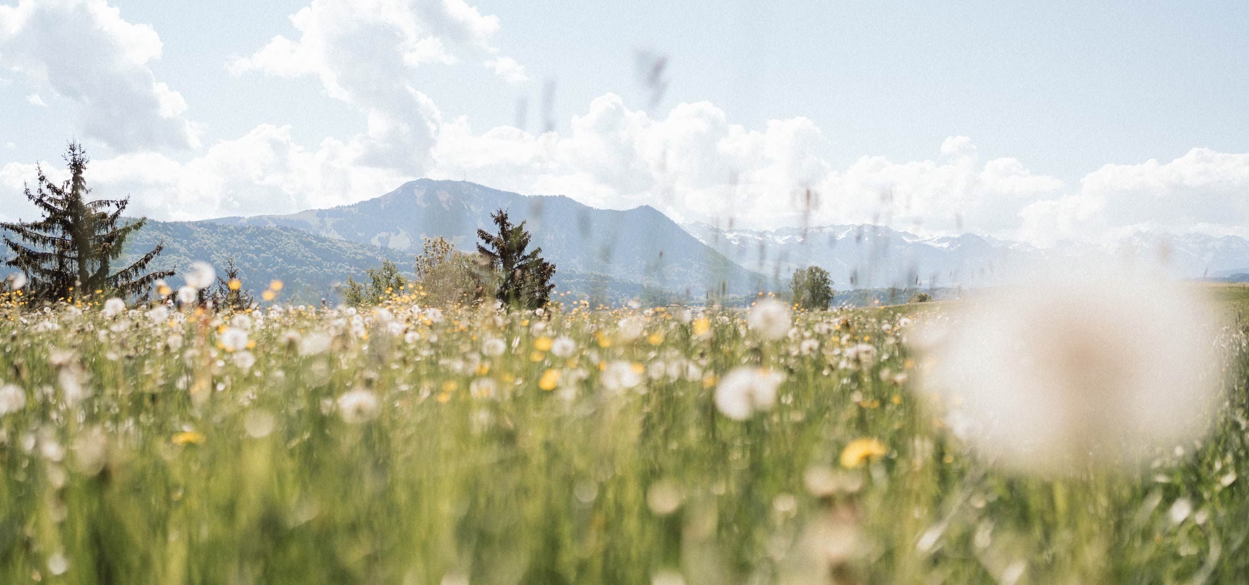 Urlaub auf dem Ferienhof Mair in Immenstadt im Allgäu